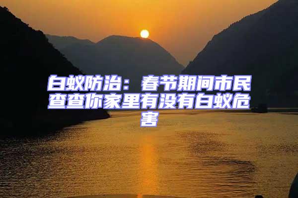 白蟻防治：春節期間市民查查你家里有沒有白蟻危害