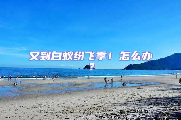 又到白蟻紛飛季！怎么辦？