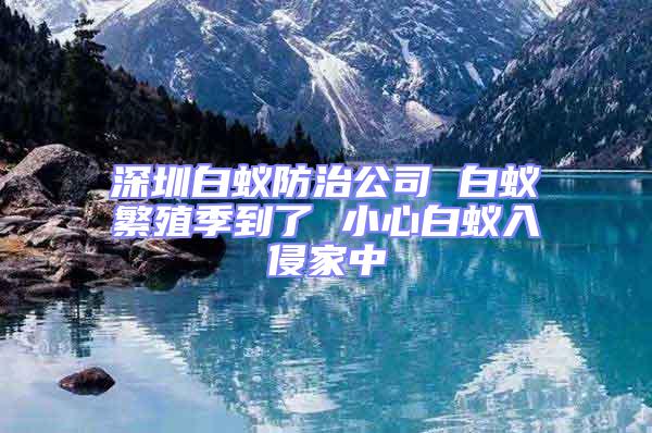 深圳白蟻防治公司 白蟻繁殖季到了 小心白蟻入侵家中