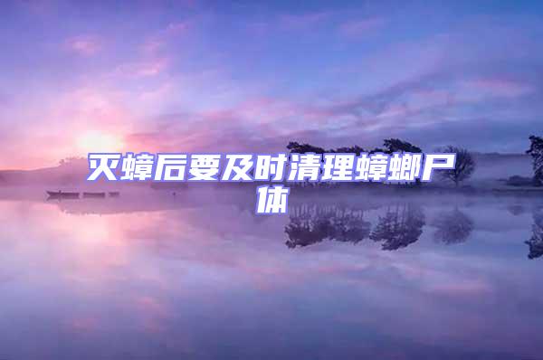 滅蟑后要及時清理蟑螂尸體