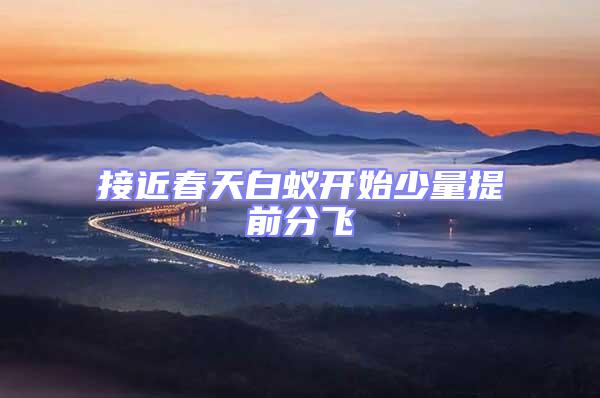 接近春天白蟻開始少量提前分飛