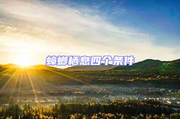 蟑螂棲息四個條件