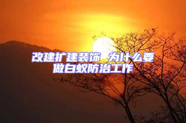 改建擴建裝飾 為什么要做白蟻防治工作