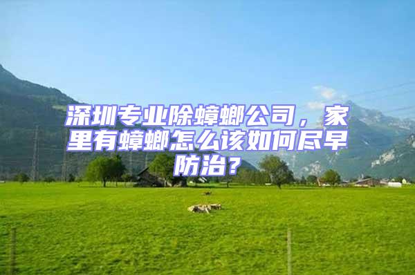 深圳專業(yè)除蟑螂公司，家里有蟑螂怎么該如何盡早防治？