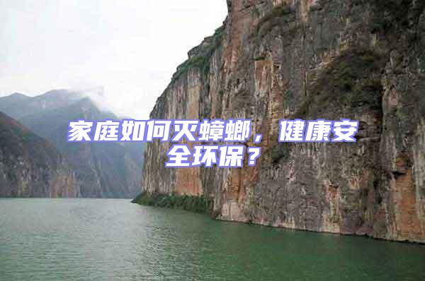 家庭如何滅蟑螂，健康安全環(huán)保？