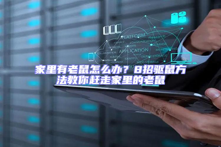 家里有老鼠怎么辦？8招驅鼠方法教你趕走家里的老鼠