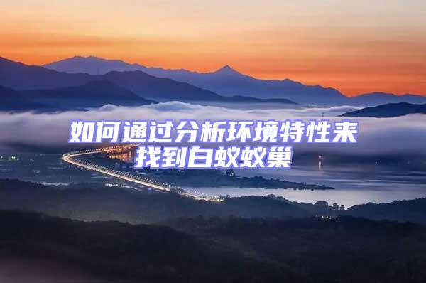 如何通過分析環境特性來找到白蟻蟻巢