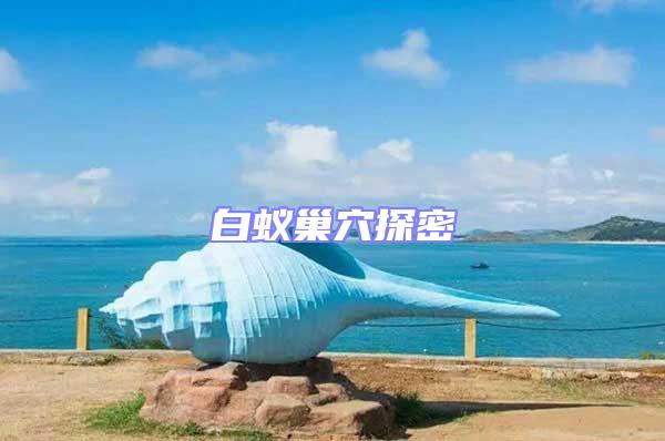 白蟻巢穴探密