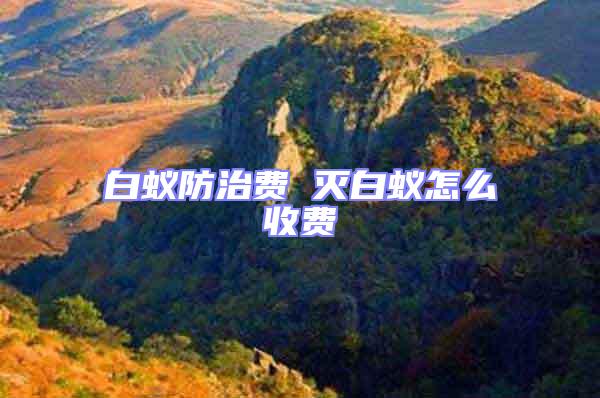 白蟻防治費 滅白蟻怎么收費