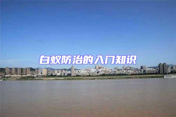 白蟻防治的入門知識