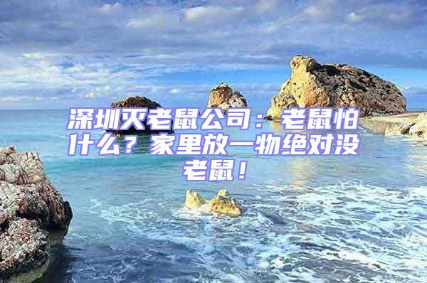 深圳滅老鼠公司：老鼠怕什么？家里放一物絕對沒老鼠！