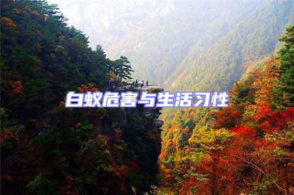 白蟻危害與生活習性