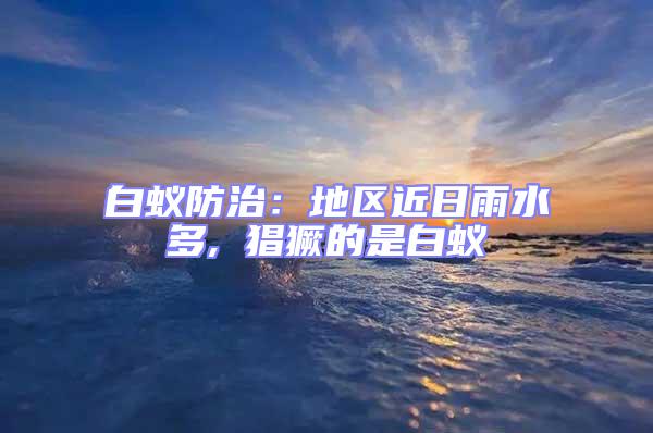 白蟻防治：地區近日雨水多, 猖獗的是白蟻