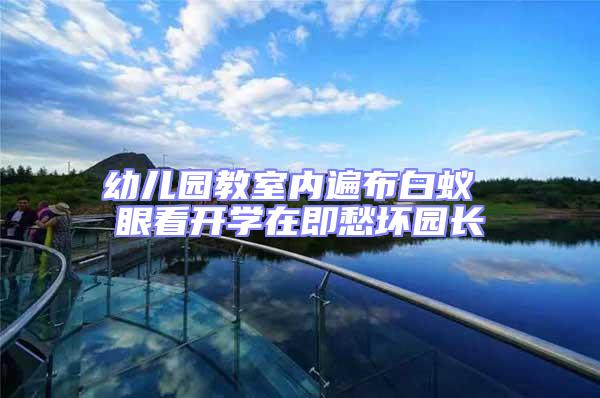 幼兒園教室內遍布白蟻 眼看開學在即愁壞園長