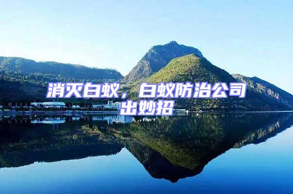 消滅白蟻，白蟻防治公司出妙招
