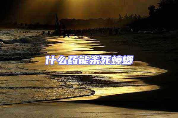 什么藥能殺死蟑螂