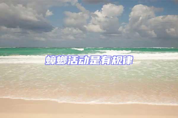 蟑螂活動是有規律