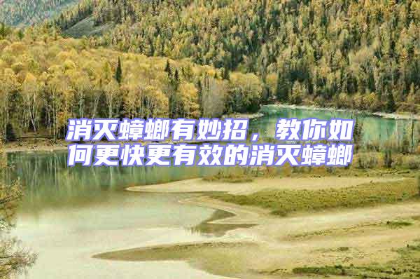 消滅蟑螂有妙招，教你如何更快更有效的消滅蟑螂