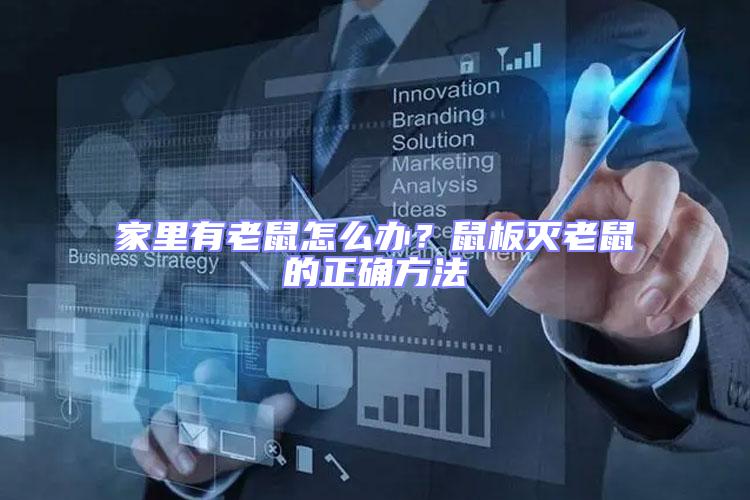 家里有老鼠怎么辦？鼠板滅老鼠的正確方法