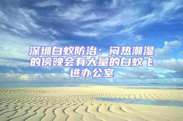 深圳白蟻防治：悶熱潮濕的傍晚會有大量的白蟻飛進辦公室