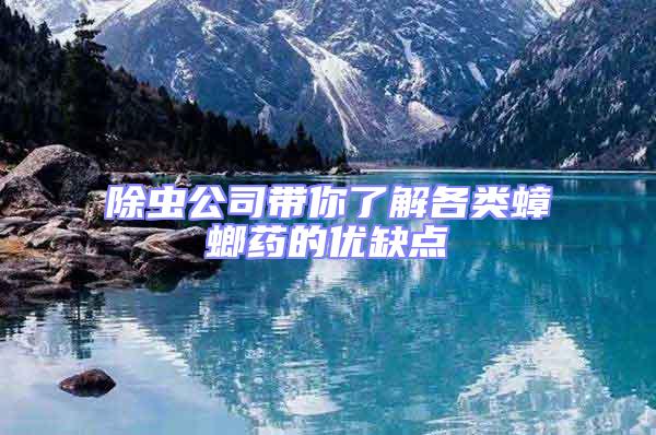 除蟲公司帶你了解各類蟑螂藥的優(yōu)缺點(diǎn)
