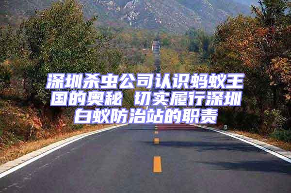 深圳殺蟲公司認識螞蟻王國的奧秘 切實履行深圳白蟻防治站的職責