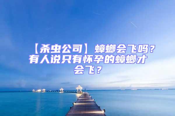 【殺蟲公司】蟑螂會飛嗎？有人說只有懷孕的蟑螂才會飛？