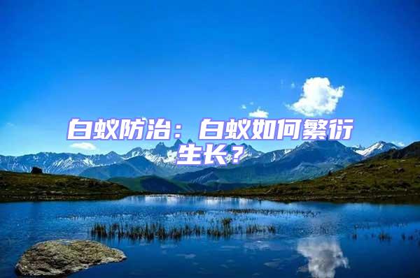 白蟻防治：白蟻如何繁衍生長？