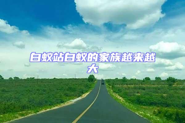 白蟻站白蟻的家族越來越大
