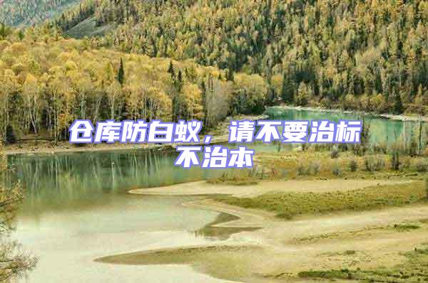 倉庫防白蟻，請不要治標不治本