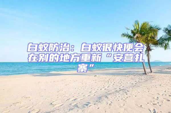 白蟻防治：白蟻很快便會在別的地方重新“安營扎寨”