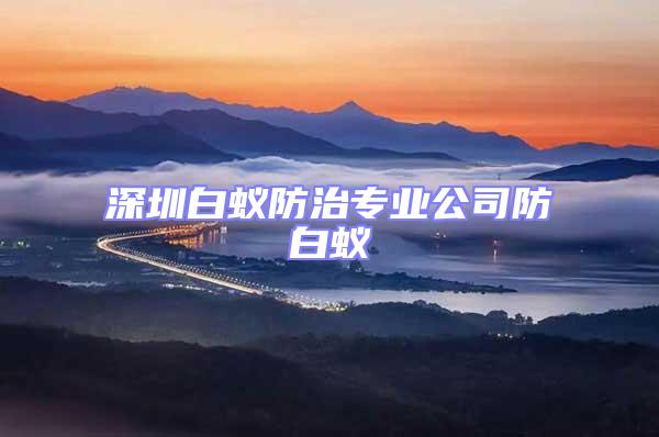 深圳白蟻防治專業(yè)公司防白蟻