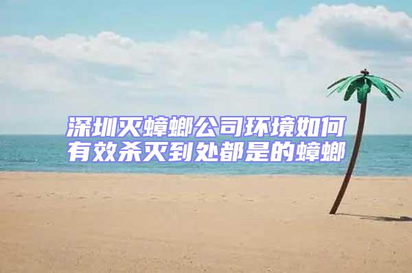 深圳滅蟑螂公司環境如何有效殺滅到處都是的蟑螂