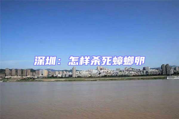 深圳：怎樣殺死蟑螂卵