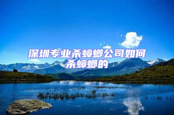 深圳專業殺蟑螂公司如何殺蟑螂的