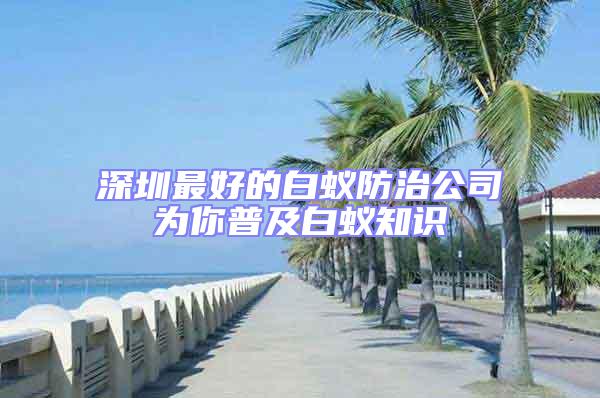 深圳最好的白蟻防治公司為你普及白蟻知識