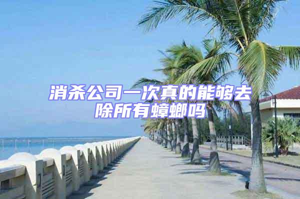 消殺公司一次真的能夠去除所有蟑螂嗎