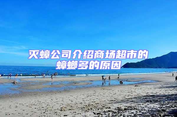 滅蟑公司介紹商場超市的蟑螂多的原因