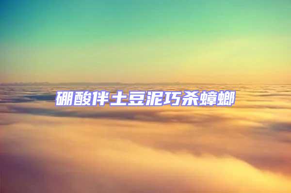 硼酸伴土豆泥巧殺蟑螂