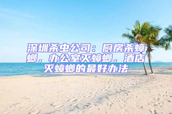 深圳殺蟲公司：廚房殺蟑螂，辦公室滅蟑螂，酒店滅蟑螂的最好辦法