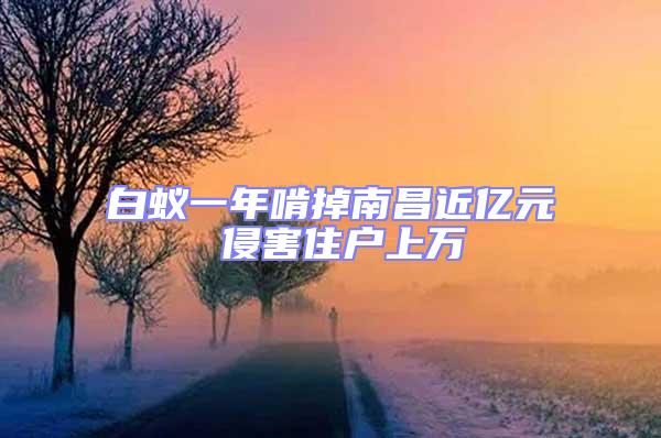 白蟻一年啃掉南昌近億元 侵害住戶上萬