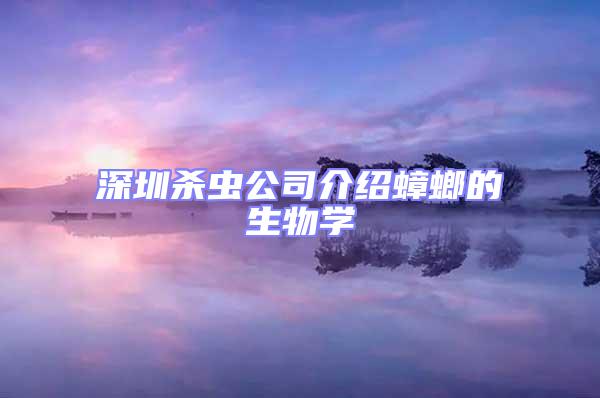 深圳殺蟲公司介紹蟑螂的生物學