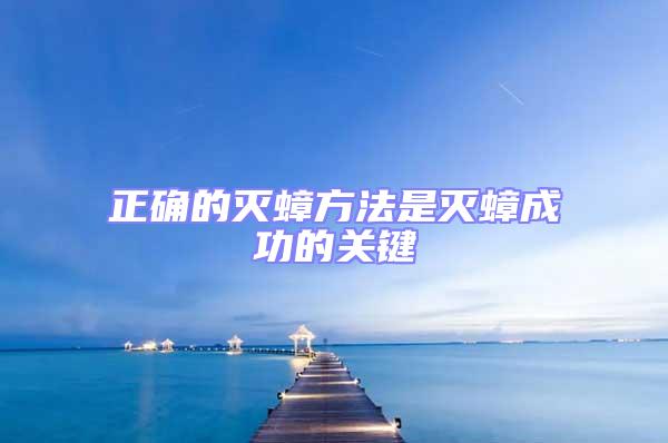 正確的滅蟑方法是滅蟑成功的關鍵