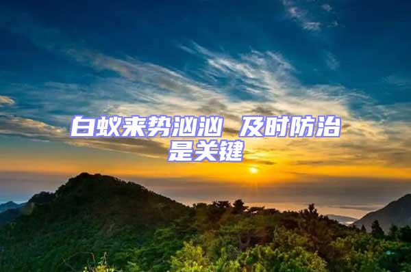 白蟻來勢洶洶 及時防治是關鍵