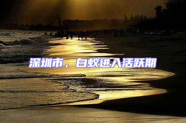 深圳市，白蟻進入活躍期