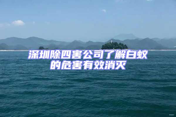 深圳除四害公司了解白蟻的危害有效消滅