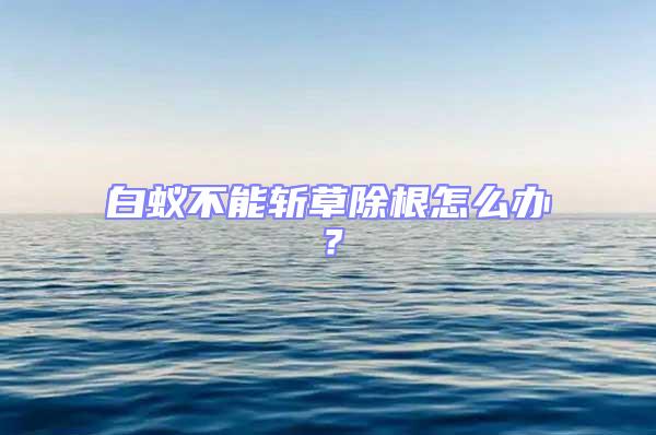 白蟻不能斬草除根怎么辦？