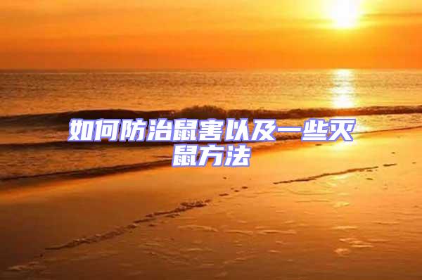 如何防治鼠害以及一些滅鼠方法
