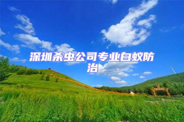 深圳殺蟲公司專業白蟻防治
