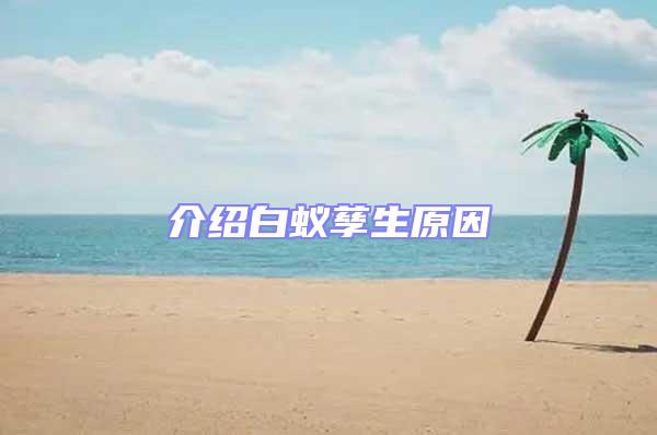 介紹白蟻孳生原因